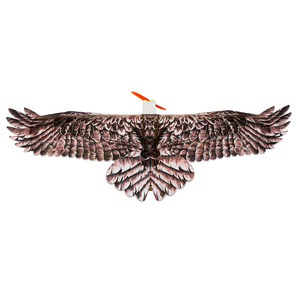DW Hobby Eagle II EPP Airplane - Rc Hobby Experts recension och pris
