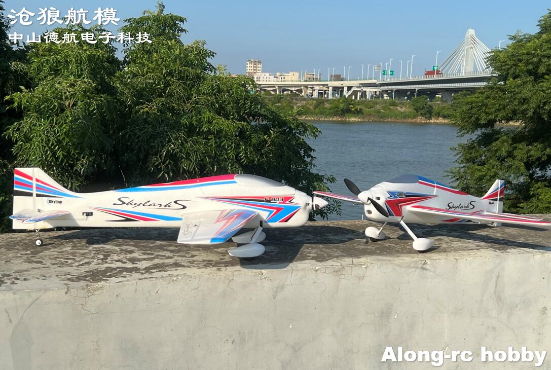 F803  F3A Skylarks 1000mm Wing - Rc Hobby Plane recension och pris